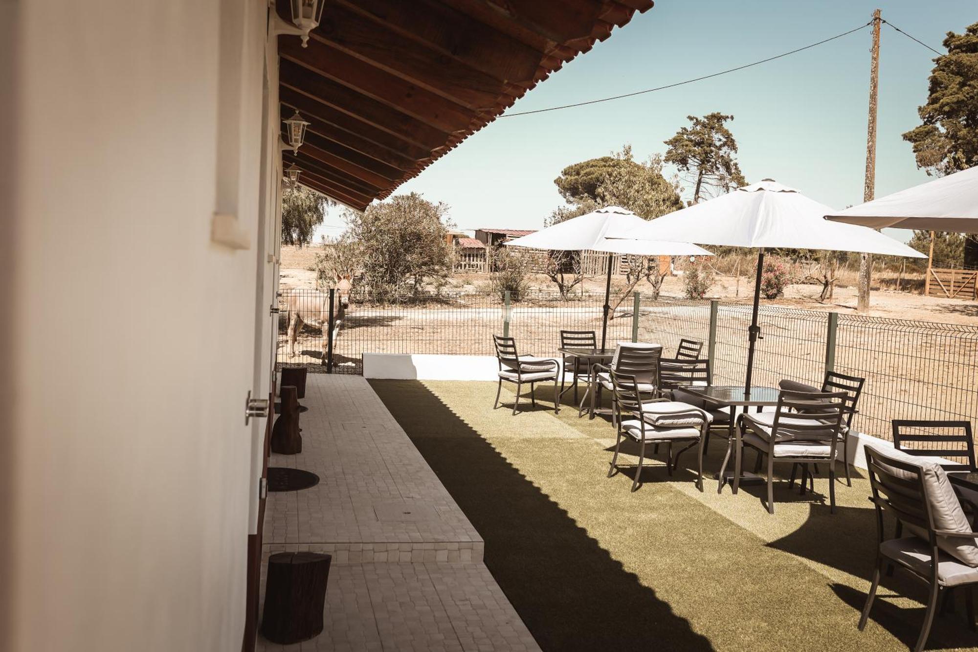 Quinta Das Cacadoras - Animal Lovers Only Palmela Exterior photo